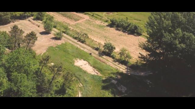 Jetson ONE — первый в мире EVTOL для поездок на работу