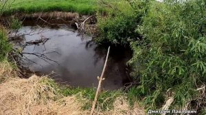 Эта рыбалка запомнится на всю жизнь. Закинул паук и давай ловить! Сазан, карась, язь. Рыбалка 2022.