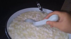 как сделать брынзу дома//домашний сыр//