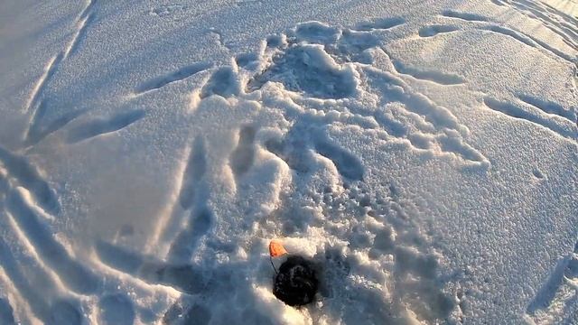 Ишим рыбалка на щуку с подписчиками. смотреть онлайн