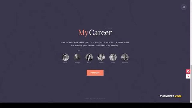 MyCareer - Resume WordPress Theme resume portfolio resume theme Ayaka смотреть онлайн
