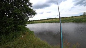 На что способна полудонка? Поимка крупного леща. Рыбалка на реке Свислочь.