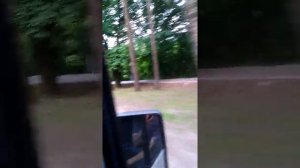 Город светлый пайза.
