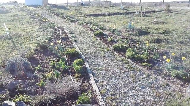 Экопоместье март 2017. Природное земледелие. Жизнь в Болгарии смотреть онлайн