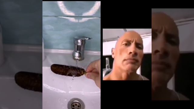 Экологично.... смотреть онлайн