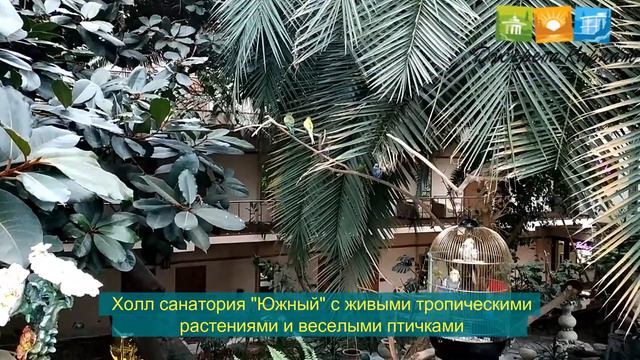 Санаторий Южный в Трускавце - зимний сад смотреть онлайн