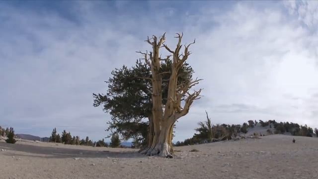 Класс! природа+музыка. SpectraSoul - Lost Disciple VIDEO. HD 720p.