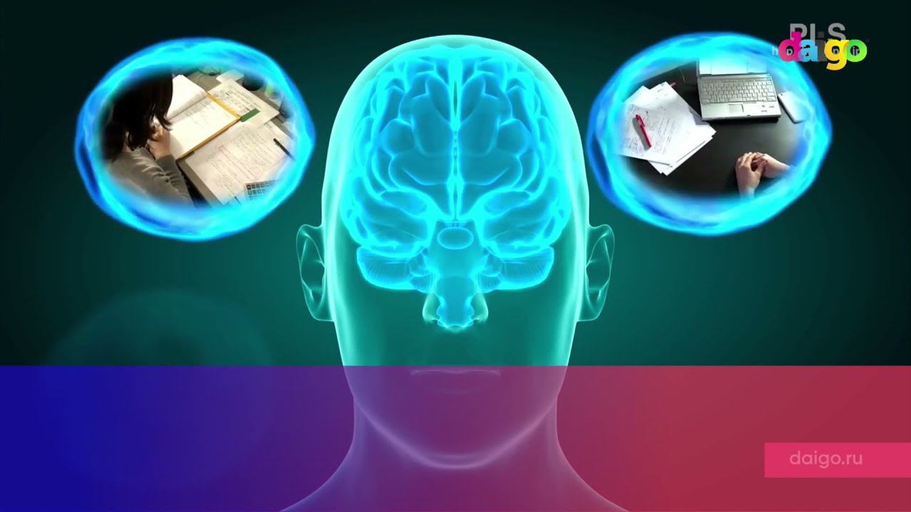 Plasmalogen что это? Уникальные исследования японских ученых. Альцгеймер. Нейрогенез. Tamotsu смотреть онлайн