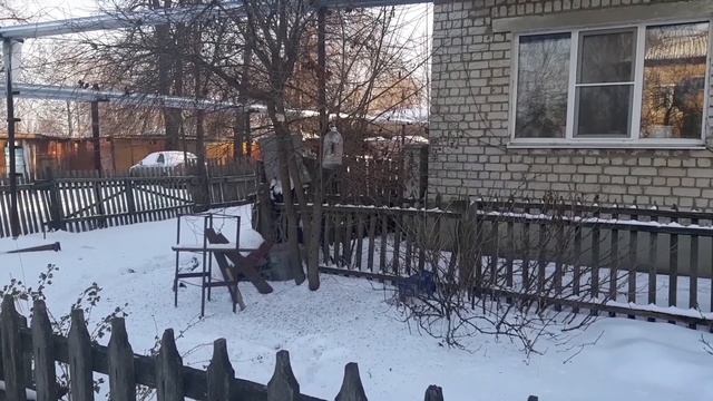 Кормление птиц. Как зовут синичек, которые прилетают к нам в кормушку. смотреть онлайн