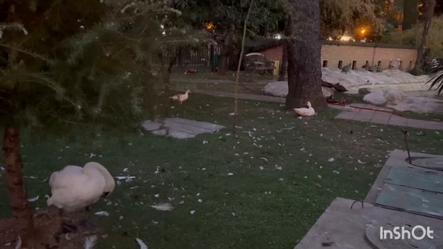 Грузия Батуми Толпы Туристов