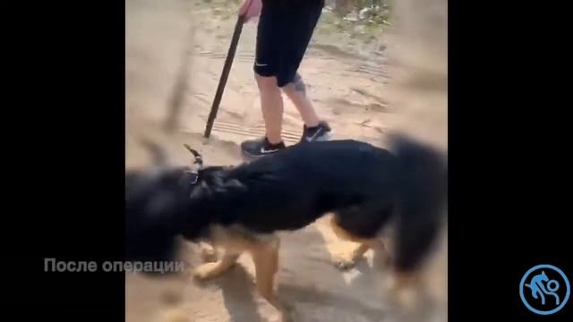 Надмыщелковый перелом плечевой кости смотреть онлайн