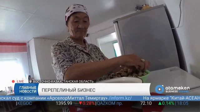 В Восточном Казахстане растет количество перепелиных ферм смотреть онлайн