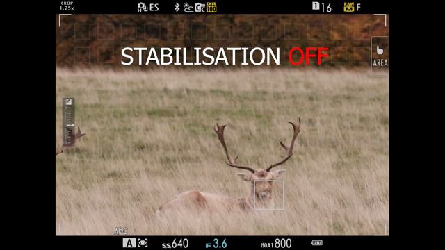 Fujifilm Fujinon 200mm f/2 lens review - STUNNING IMAGE QUALITY! смотреть онлайн