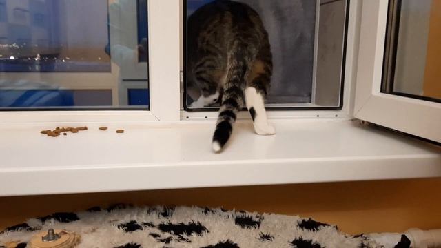 лаванда смотреть онлайн