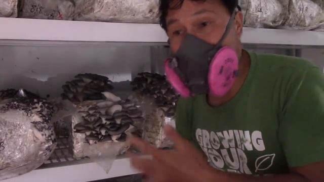 She Quit Her Job to Start a Mushroom Farm & Makes $200,000 a Year смотреть онлайн