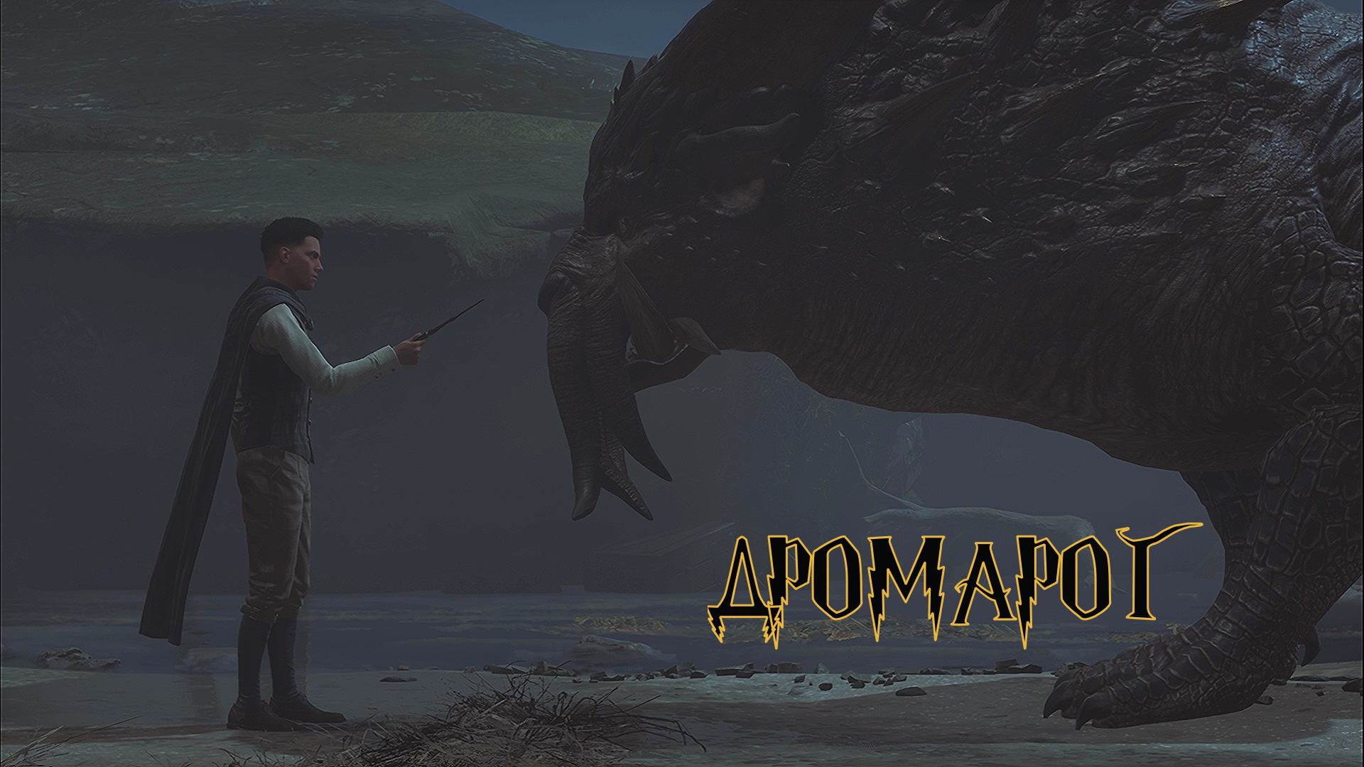 ДРОМАРОГ ► Hogwarts Legacy (Хогвартс: Наследие) смотреть онлайн