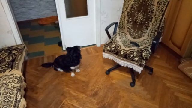 Песня Маркиза смотреть онлайн