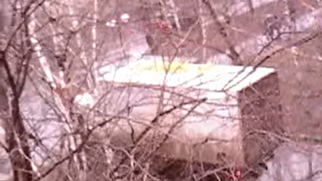 Чудо-юдо блин.Роспотребнадзор. Пятерочка. Автоинспекц. смотреть онлайн
