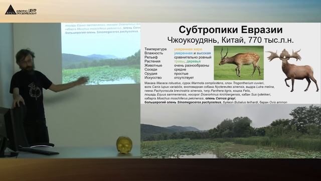 Станислав Дробышевский: "Жизнь тропическая" смотреть онлайн