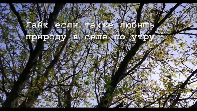 Обзор комбайна для уборки кукурузы мотоблоком. mini corn harvester(4K/UHD) перезалив смотреть онлайн