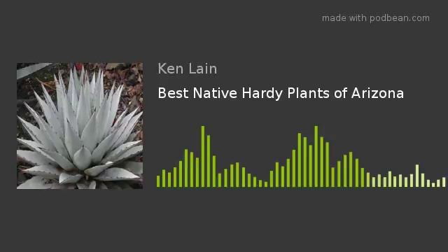 Best Native Hardy Plants of Arizona смотреть онлайн