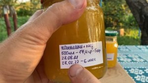 Настаиваем сухой женьшень на меду - рецепты