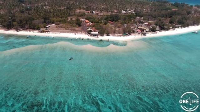 One Life Adventures смотреть онлайн