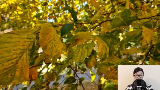 Свекровь выставила из дома невестку, пока муж был у любовницы. Но спустя три года всех ждал сюрприз смотреть онлайн