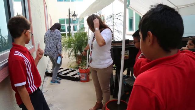 Ecology Club is a Big Hit at Harmony School of Fine Arts and Technology (Houston) смотреть онлайн