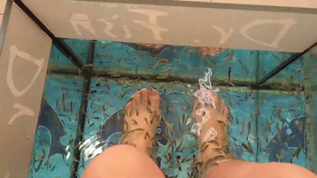 Fish spa смотреть онлайн