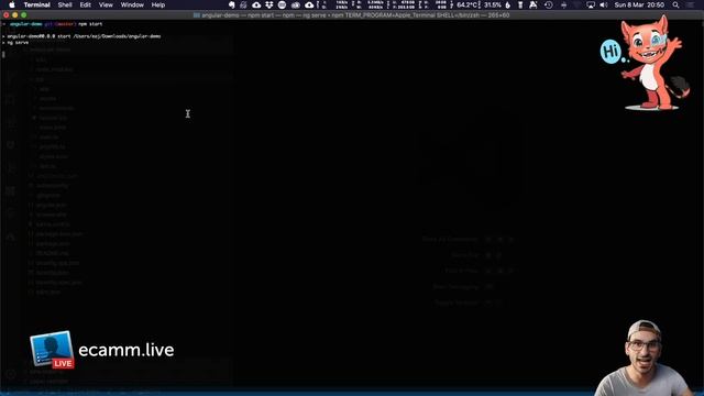 Angular 9 building your first application with the NG CLI - part 1 смотреть онлайн