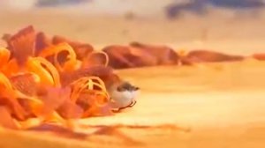 Мультик Песочник the piper от Disney и Pixar 0+ для детей