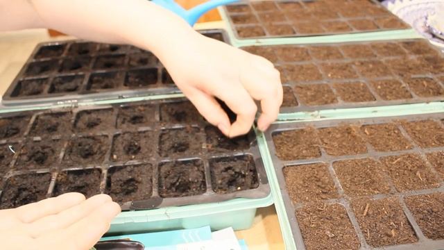 ПОСЕВ СЕМЯН ПЕРЦЕВ БАКЛАЖАН ПОМИДОР НА РАССАДУ .