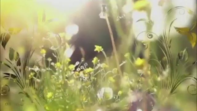 Мой фильм Светлана с днём рождения. смотреть онлайн