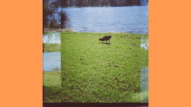 Lomography Diana F+ Test Photos