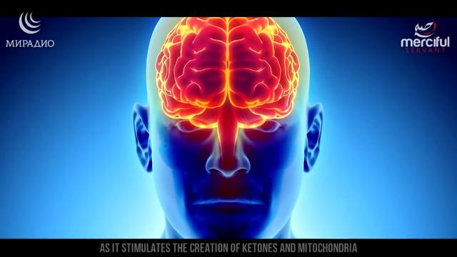 Рамадан Пост и мозг. Польза или Вред. Ураза рамазан смотреть онлайн