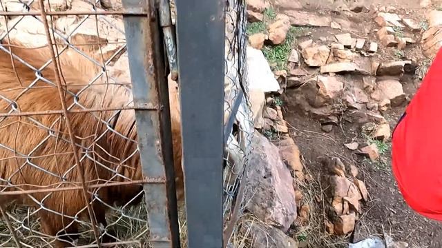 Кавминводы 2023 Ессентуки