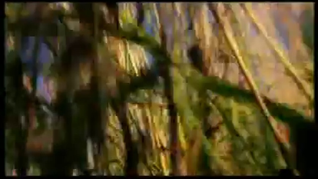 АлисА - Веретено смотреть онлайн