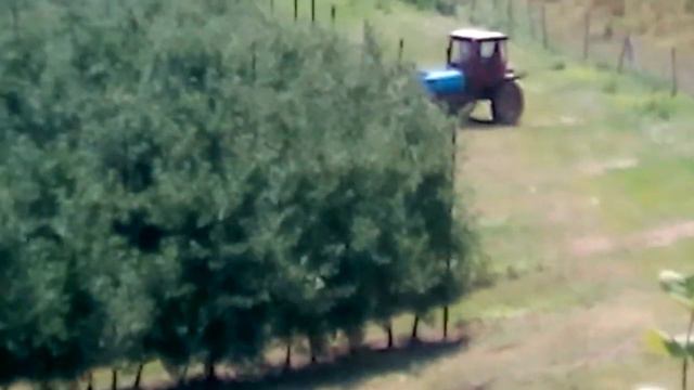 Многолетний токсический геноцид в Крыму VID 20190716 115822 смотреть онлайн