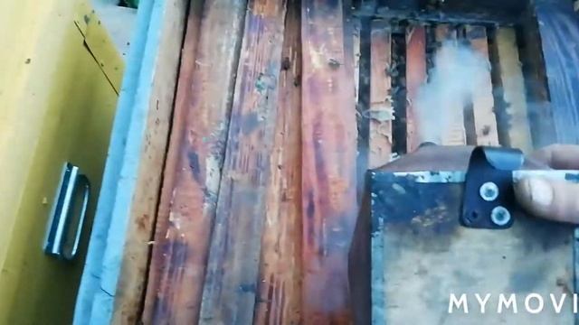 Осенняя подкормка пчёл. смотреть онлайн