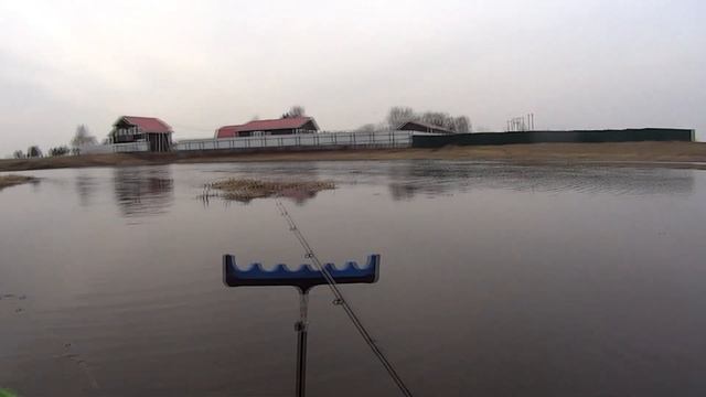 Уклейка в ручье. р.Пахма.г.Ярославль. смотреть онлайн