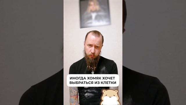 Почему хомяк грызет клетку? смотреть онлайн