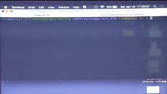 Penetration Testing Custom TLS Stacks [ShmooCon 2016] смотреть онлайн