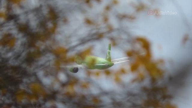 Уход на второй круг A320 Neo авиакомпании S7, Домодедово 22.10.21.