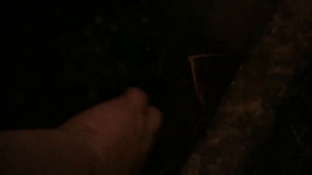 В ногу с природой или Каждому - своё... смотреть онлайн