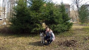 Урок 1.  Как наладить контакт с вашей собакой