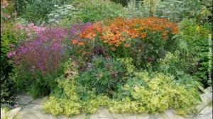 ❀ Клумбы из многолетников. Их достоинства и недостатки. Советы начинающим цветоводам и идеи