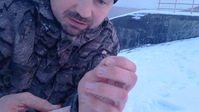 На ТРОЯН за СЕРЕБРОМ!!! смотреть онлайн
