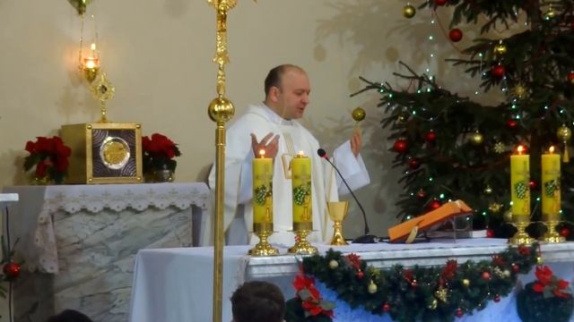 г.ЖЛОБИН - КОСТЁЛ МАТЕРИ БОЖЬЕЙ ЦАРИЦЫ МИРА ( РОЖДЕСТВЕНСКИЕ ДНИ ) смотреть онлайн