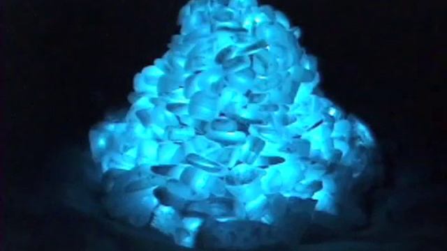 prototype garden смотреть онлайн